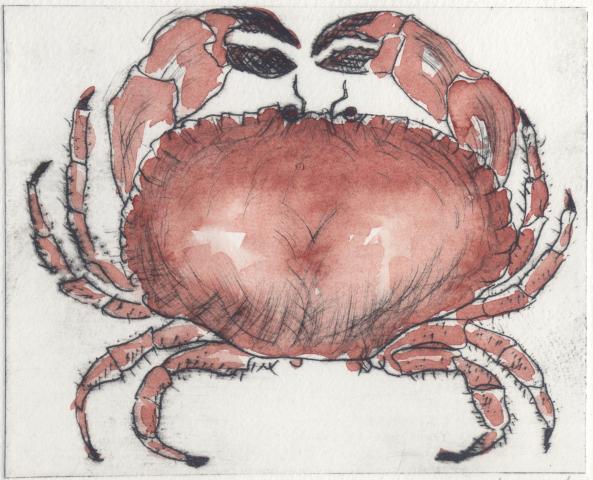 Cornish-Crab.jpg