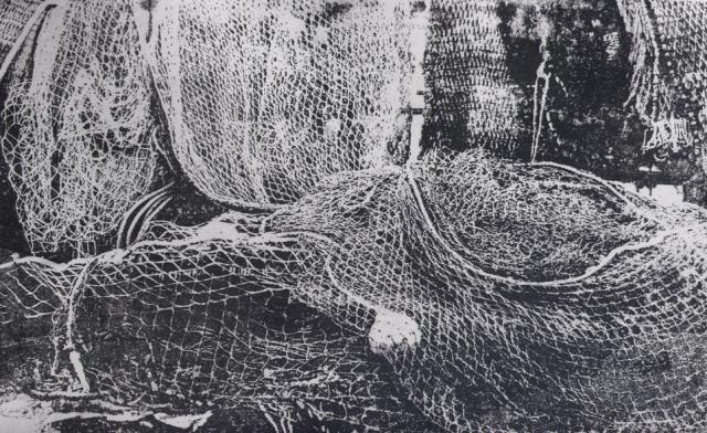 FishingNets_5cm.jpg