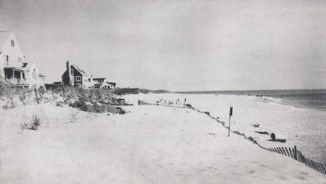 Plum-island_5cm.jpg